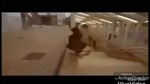 Паркур под крутую музыку