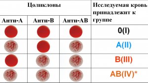 001. Определение группы крови и резус принадлежности цоликлонами. 2019.05.20. 1080p.