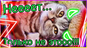 Сочи 2025. Переезд на Юг. Только не этоооо. Боль, грусть / Семья Козырь Сочи.