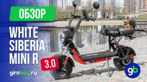 White Siberia Mini R версия 3.0 - бодрый электроскутер от известного производителя!
