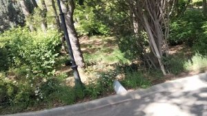 Санаторий Днепр. Корпус ,,Сон у моря,,