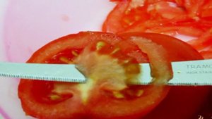 Шакароб ( Аччик-чучук)