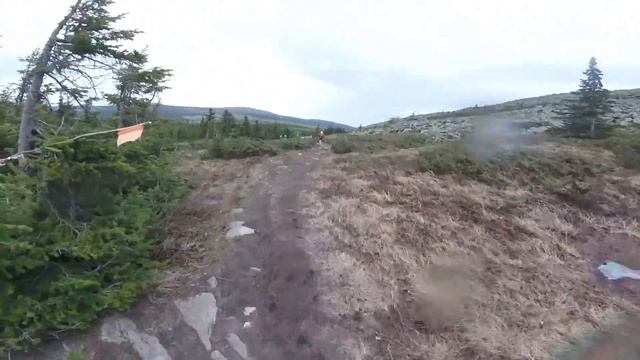 Здоровый как лось 2016 смотреть онлайн