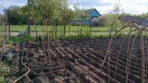 Дела огородные   Хвалюсь покупкой
