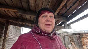 Зима пришла... Молодцы цыплята, порадовали...