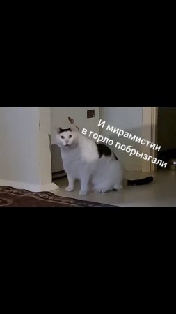 Самые противные фразы пациентов🤣