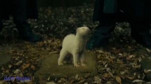 Гарри Поттер и Кубок Пупера RYTP