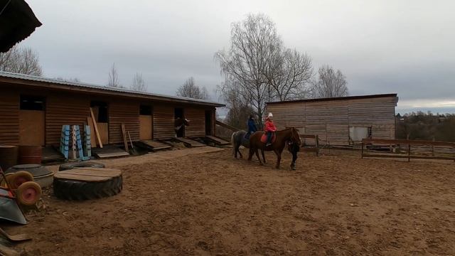 Конный двор "Волга" под Ржевом.