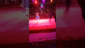 Лошади в цирке. Страшновато сидеть на первом ряду