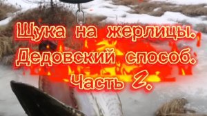 ЩУКА РВЕТ ЛЕСКУ! ЧАСТЬ 2. 23.04.2025 Г.