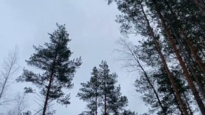 Одновременный двухшажный классический лыжный ход - 1.