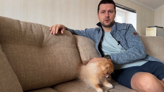 Алопеция у шпица - вылечили. Ура, Джерри