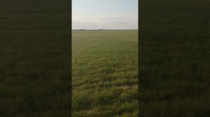 Экзамен на БВС DJI Agras. город Балашов Саратовской области апрель 2025. Внешний пилот БВС  30 кг +