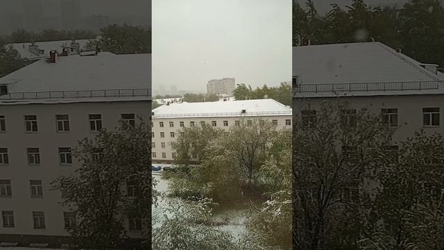 02-05-2025В Москве выпал снег