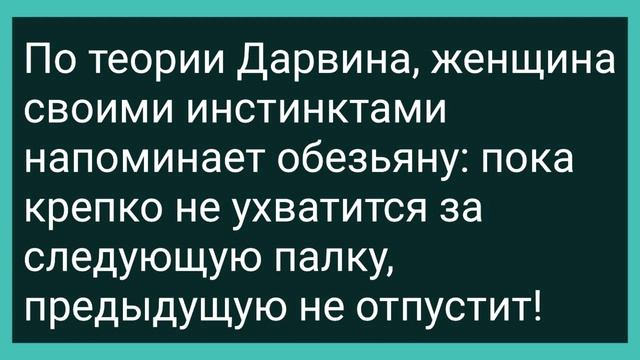 Как Мужик к Врачу Пришел! Сборник Свежих Смешных Жизненных Анекдотов! смотреть онлайн
