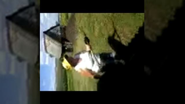 Вот так нужно жить на пенсии!! смотреть онлайн