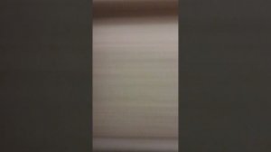ловим именные поезда метро