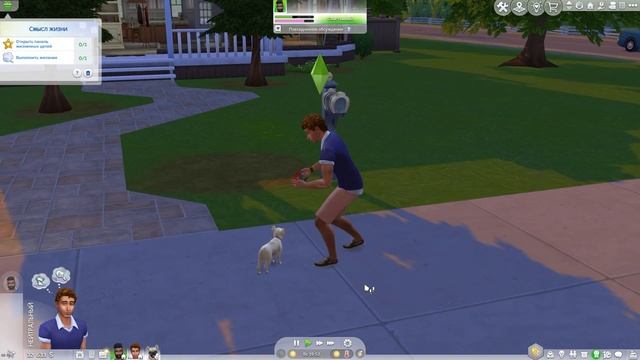 Как Гулять с Собакой на Поводке Sims 4 | Sims 4 Прогулка с Собакой