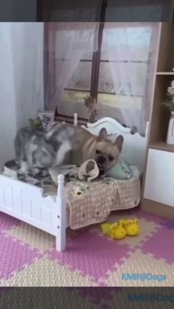 Можно я к тебе подлягу, даже с краю мне пойдёт, ну, а ты,моя родная, спи вальяжно, мне сойдёт🥺🥰