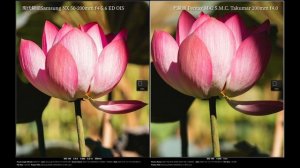 Использование винтажного объектива M42 Pentax SMC Takumar на Samsung NX300