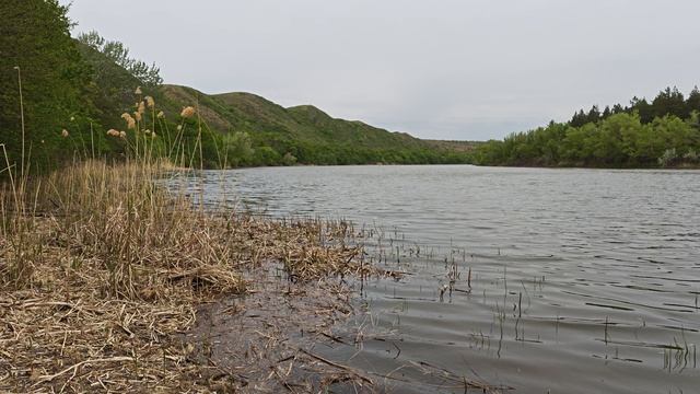 Река Северский Донец и природа!