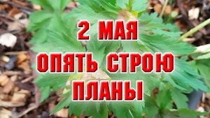 2 мая. Опять строю планы