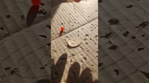 На что способен детский пистолет? Снято совместно с Кибер Фермером.