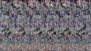 Cтереокартинки для отдыха и тренировки глаз на тему "Животный мир".