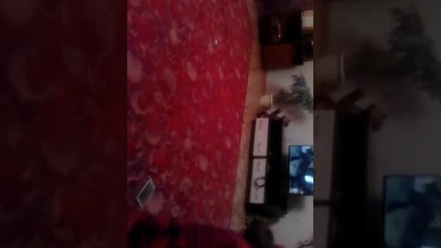 Играем с кошкой в смотреть онлайн