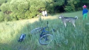 Упал с дерева !прикол!  Смотреть всем до конца!