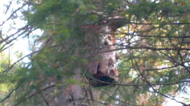 Оленьи Ручьи 7 "Г" 2008-2009 смотреть онлайн