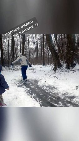 каток на замерзшем лесном озере