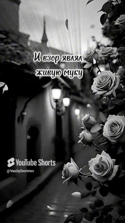 Нищий.Михаил Лермонтов стихи читает В Дмитриев #лермонтов #поэт #чувства #поэзия #love #poet #shorts