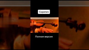 Скрипач