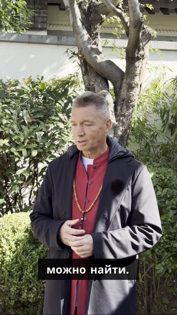 Цигун и Ушу: Параллельные Реальности Боевыми Искусствами смотреть онлайн