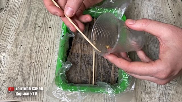Чому я раніше не додумався до цього! Тепер сію помідори тільки так