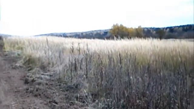 Борок Строительство улицы Майская смотреть онлайн