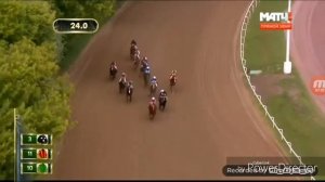 Клип конный спорт ( делаемфлекс)
