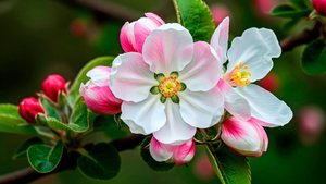 ИСЦЕЛЯЮЩАЯ РЕЙКИ МУЗЫКА ДЛЯ ЙОГИ И МЕДИТАЦИИ - РАДУЕТ ДУШУ 🎵 РАССЛАБЛЯЮЩАЯ РЕЛАКС МУЗЫКА ДЛЯ СНА