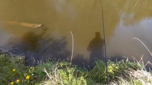 02.06.2024, р. Нейва, микроджиг на злачных местах (Yamaga Blanks BlueCurrent 66JH TZ/Nano Professor