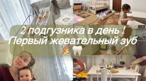 На кухне/ Когда в садик?/ Стираю руками/ Жевательный зуб на подходе