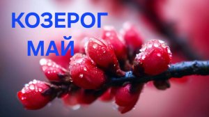 КОЗЕРОГ.  ТАРО ПРОГНОЗ НА МАЙ