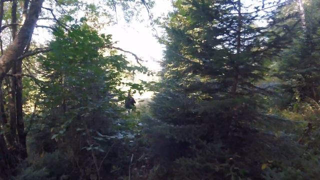 Тхач смотреть онлайн