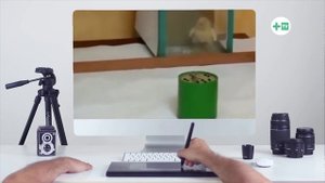 ЭКСПЕРИМЕНТ С ЦЫПЛЁНКОМ И РОБОТОМ