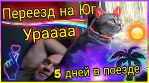 Сочи 2025. Переезд на юг. Пять дней в поезде они тоже с нами. Поезд Иркутск- Москва