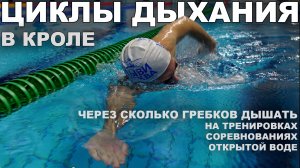 ЧЕРЕЗ СКОЛЬКО ГРЕБКОВ ДЕЛАТЬ ВДОХ В ПЛАВАНИИ КРОЛЕМ НА ТРЕНИРОВКАХ И СОРЕВНОВАНИЯХ