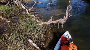 Sup Сплав р.Осетр Метростроевский-Урочище Ключи 13км Ада
Носиксапа