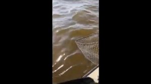 Астрахань. Рыбалка на Волге 2024