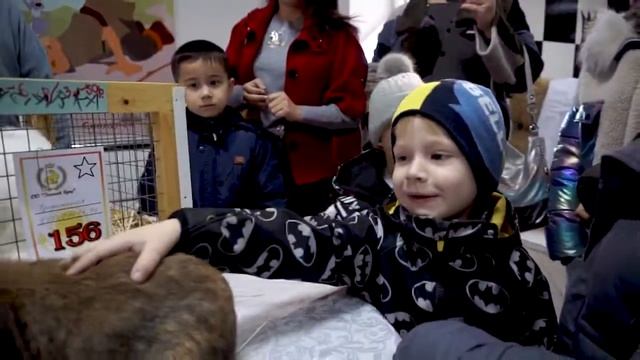 Первая Международная Выставка Породного кролиководства в городе Шымкент смотреть онлайн