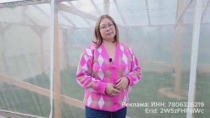 Как построить теплицу на деревянном каркасе. Теплица под пленкой Нева Премиум